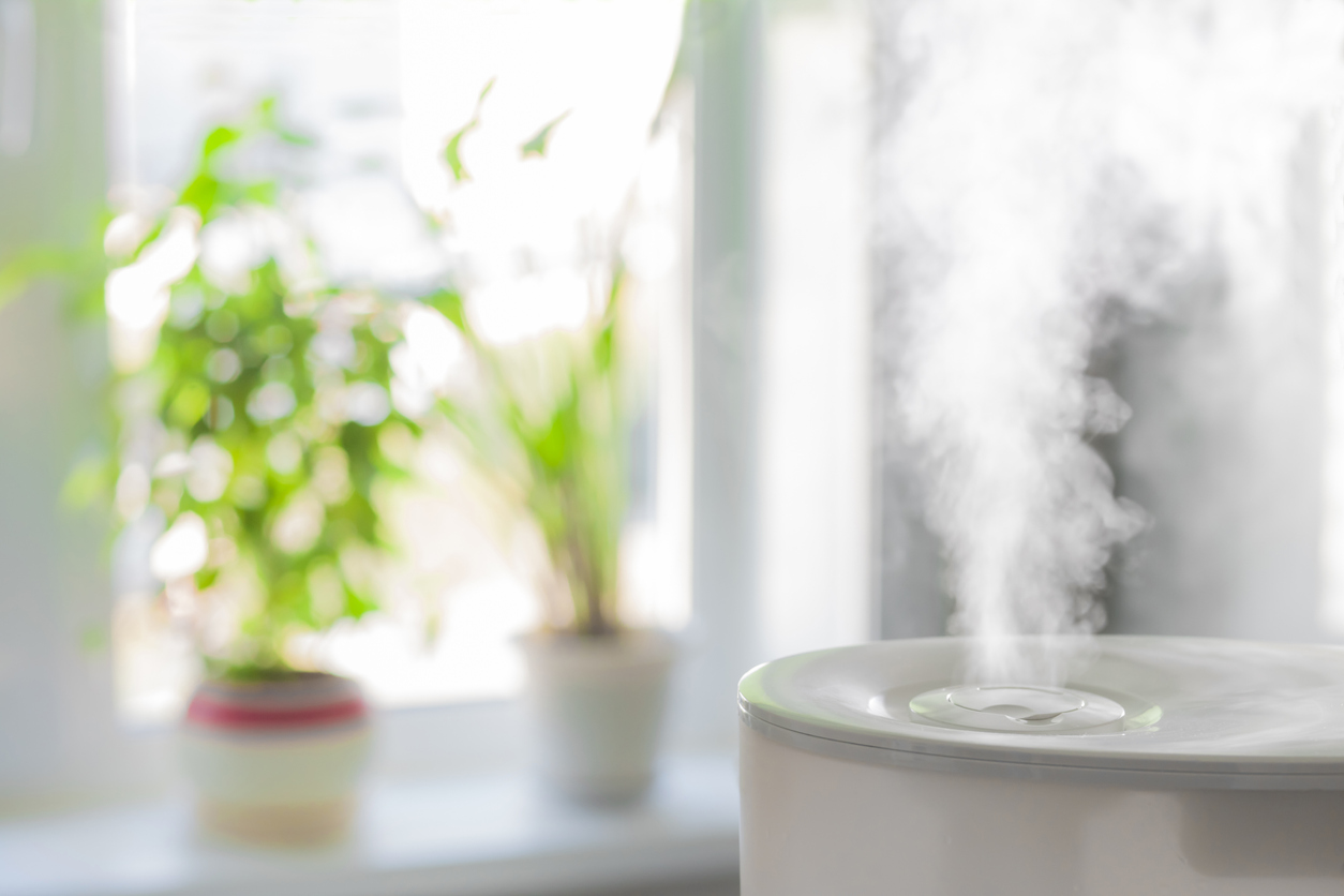 Vapor from humidifier in front of window, highlighting the effects of dry air in your home.