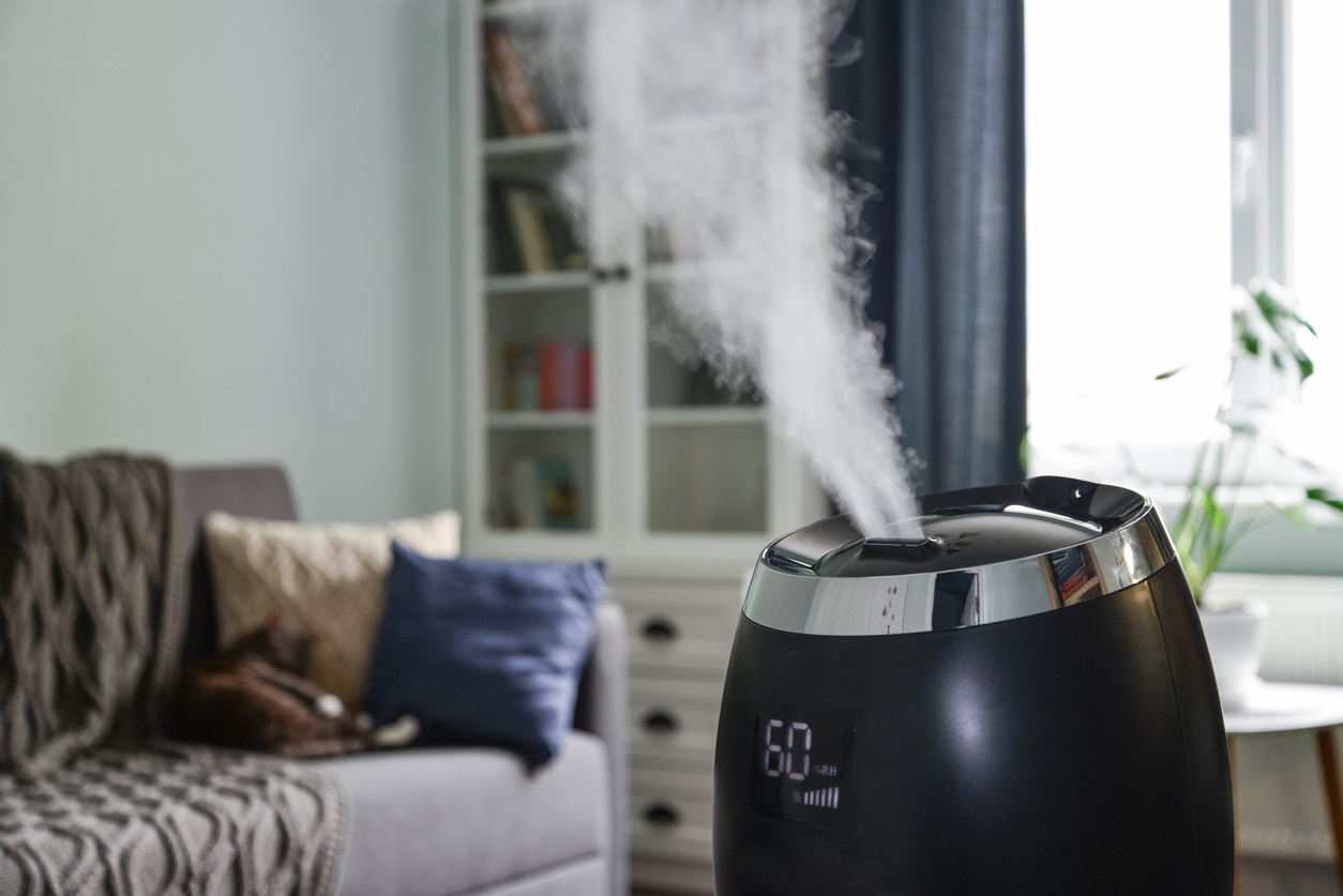 Best whole house store steam humidifier